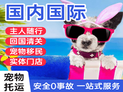 海浪机场物流国际宠物托运 【国